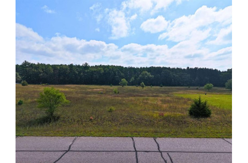 LOT 5 W 13th Avenue, Wisconsin Dells, WI 53965