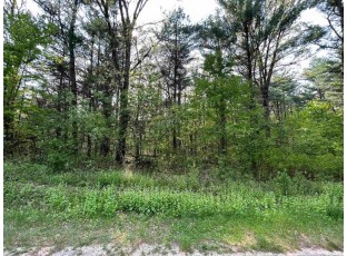 LOT 46 18th Avenue Arkdale, WI 54613