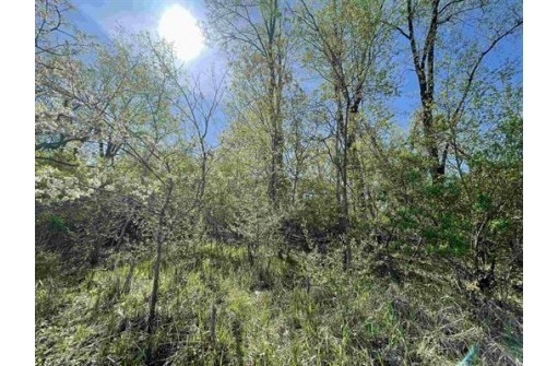 1.23 AC Freedom Road, Montello, WI 53949