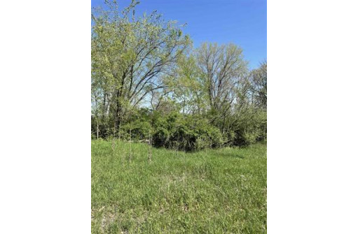 1.23 AC Freedom Road, Montello, WI 53949