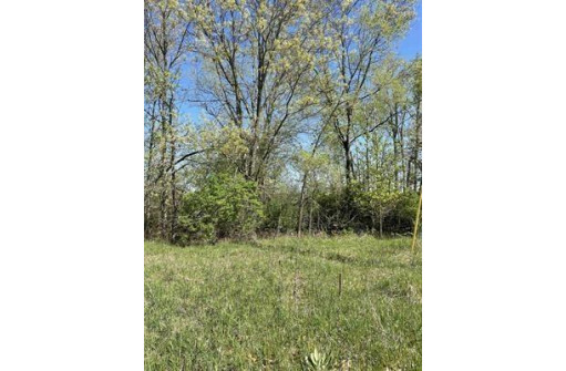 1.23 AC Freedom Road, Montello, WI 53949