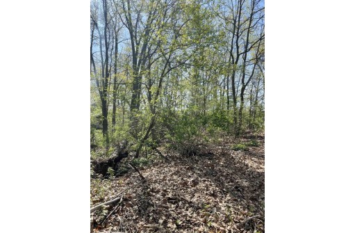 LOT 2 County Road C, Montello, WI 53949