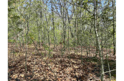 LOT 2 County Road C, Montello, WI 53949