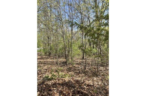 LOT 2 County Road C, Montello, WI 53949