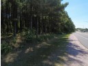 4.91 ACRES County Road A, Wisconsin Dells, WI 53965