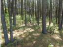 4.91 ACRES County Road A, Wisconsin Dells, WI 53965