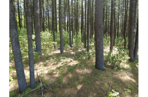 4.91 ACRES County Road A, Wisconsin Dells, WI 53965