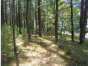 4.91 ACRES County Road A, Wisconsin Dells, WI 53965