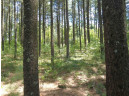 4.91 ACRES County Road A, Wisconsin Dells, WI 53965