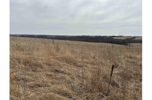 191.05+- ACRES County Road O, Mineral Point, WI 53565