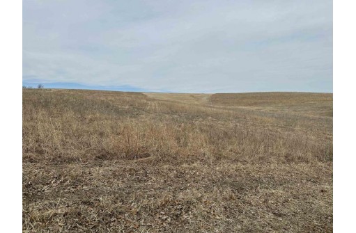 191.05+- ACRES County Road O, Mineral Point, WI 53565