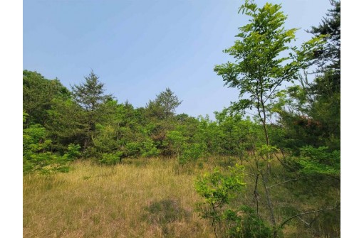 LOT 1 Highway 21, Necedah, WI 54646