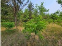 LOT 1 Highway 21, Necedah, WI 54646