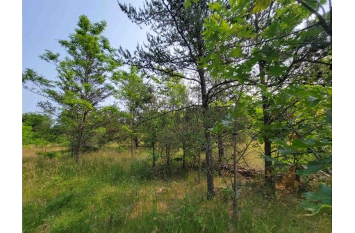 LOT 1 Highway 21, Necedah, WI 54646