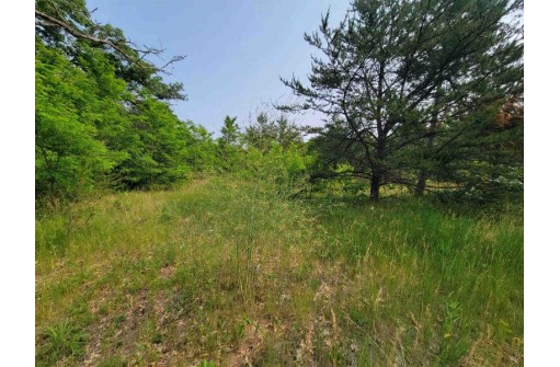 LOT 1 Highway 21, Necedah, WI 54646