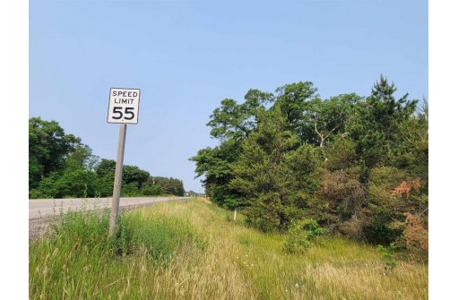 LOT 1 Highway 21, Necedah, WI 54646