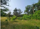 LOT 1 Highway 21, Necedah, WI 54646