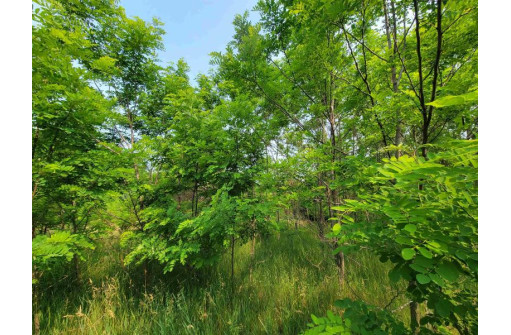 LOT 1 Highway 21, Necedah, WI 54646