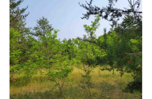 LOT 1 Highway 21, Necedah, WI 54646