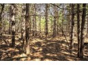 LOT 43 S Timber Bay Avenue, Friendship, WI 53934