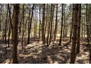 LOT 43 S Timber Bay Avenue, Friendship, WI 53934