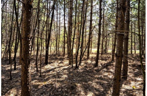 LOT 43 S Timber Bay Avenue, Friendship, WI 53934