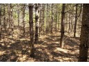 LOT 43 S Timber Bay Avenue, Friendship, WI 53934
