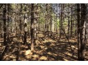 LOT 43 S Timber Bay Avenue, Friendship, WI 53934