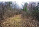 LOT 254 Dakota Junction, Friendship, WI 53934