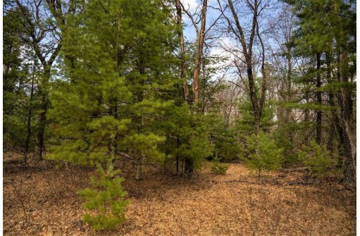 LOT 188 18th Lane, Friendship, WI 53934