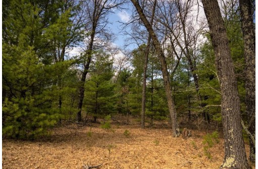 LOT 188 18th Lane, Friendship, WI 53934