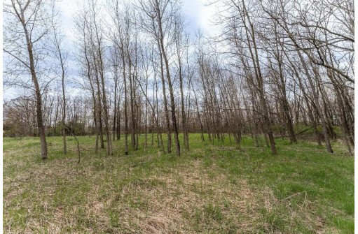 14.35 ACRES Highway 80, New Lisbon, WI 53950