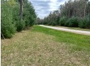 W1558 Buffalo Trail, Lyndon Station, WI 53944