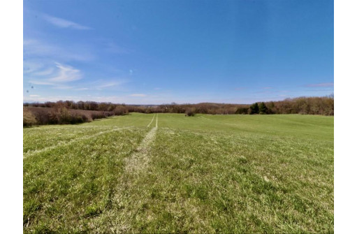 75 ACRES Grenning Farm Road, Elkhorn, WI 53121