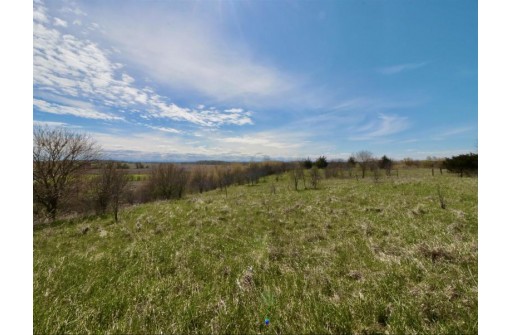 75 ACRES Grenning Farm Road, Elkhorn, WI 53121