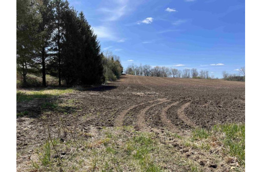 LOT 1 CSM 7674 Timber Lane, Verona, WI 53593