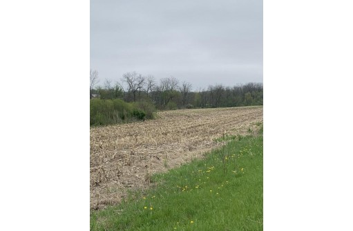 LT1 Highway 92, Brooklyn, WI 53521