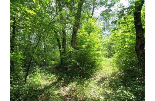 LOT 44 Black Oak Court, Coloma, WI 54930