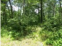 LOT 44 Black Oak Court, Coloma, WI 54930