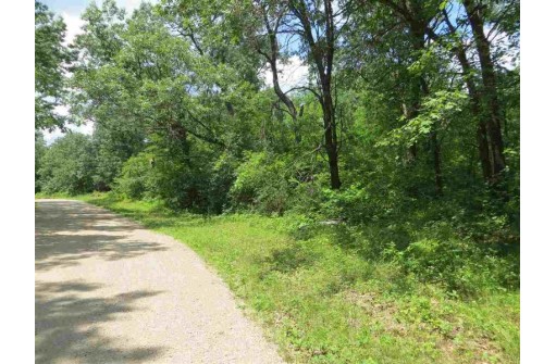 LOT 44 Black Oak Court, Coloma, WI 54930