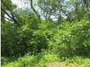 LOT 44 Black Oak Court, Coloma, WI 54930