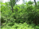 LOT 44 Black Oak Court, Coloma, WI 54930