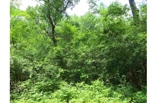 LOT 44 Black Oak Court, Coloma, WI 54930