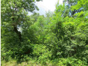 LOT 44 Black Oak Court, Coloma, WI 54930