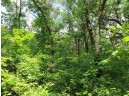 LOT 44 Black Oak Court, Coloma, WI 54930