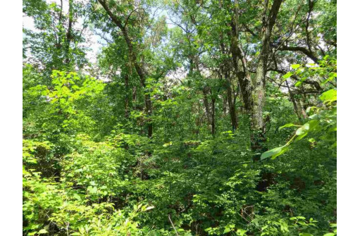 LOT 44 Black Oak Court, Coloma, WI 54930