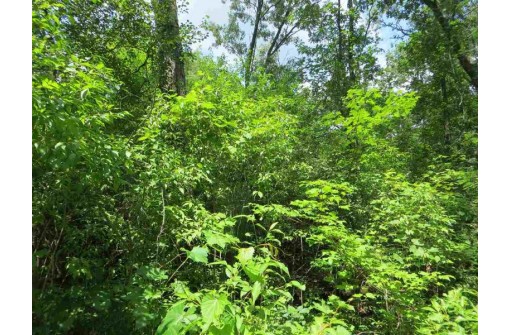 LOT 44 Black Oak Court, Coloma, WI 54930