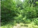 LOT 44 Black Oak Court, Coloma, WI 54930