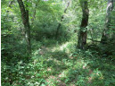 LOT 44 Black Oak Court, Coloma, WI 54930