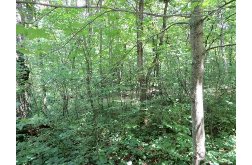 LOT 44 Black Oak Court, Coloma, WI 54930